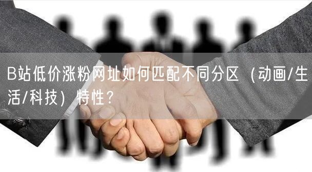 B站低价涨粉网址如何匹配不同分区（动画/生活/科技）特性？